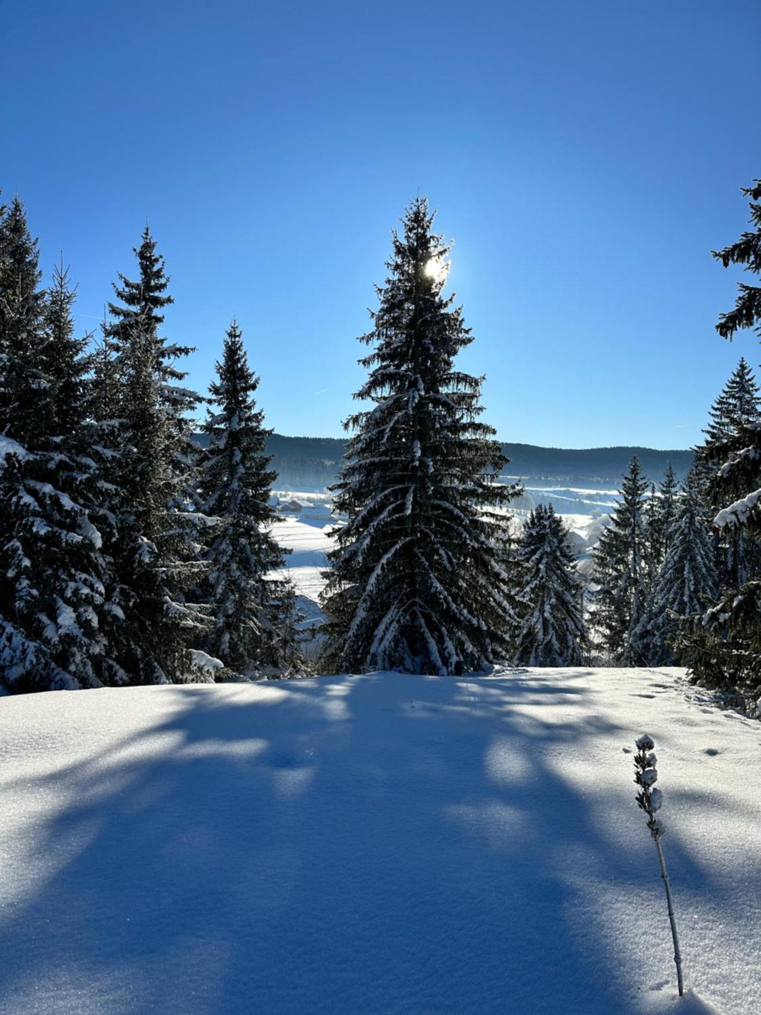 Le Belvedere Des Deux Lacs Le Brey et Maison du Bois Dış mekan fotoğraf